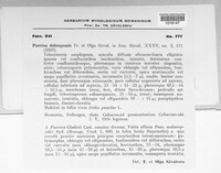 Image Associated With the Occurence